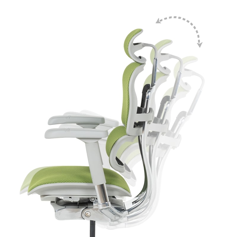 Ергономичен офис стол Ergohuman Elite 2 дамаска зелен-сива рамка